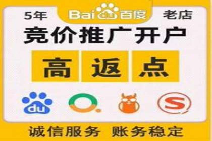 百度推广返点策略：案例解析与优化